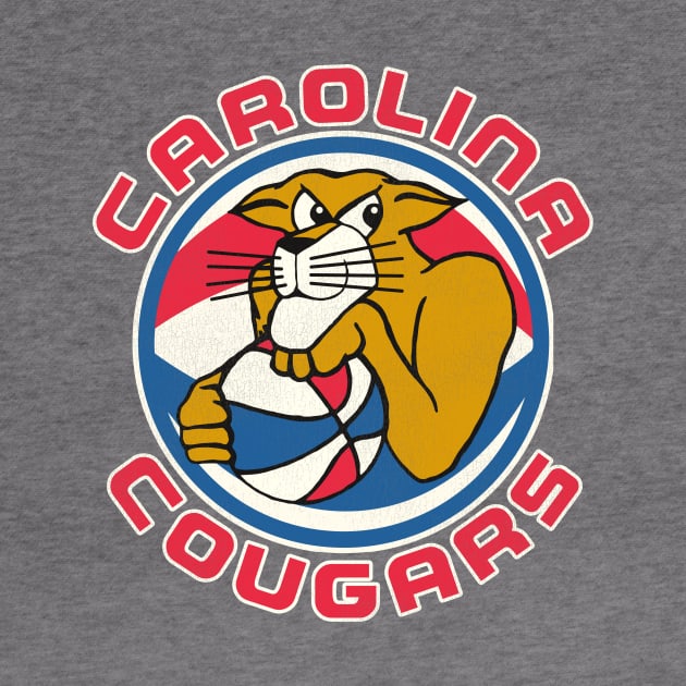 Defunct Carolina Cougars ABA Basketball by Defunctland